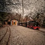 A Second Home For Perky Roses, At Milies, Pelion, Volos Greece * Miléai